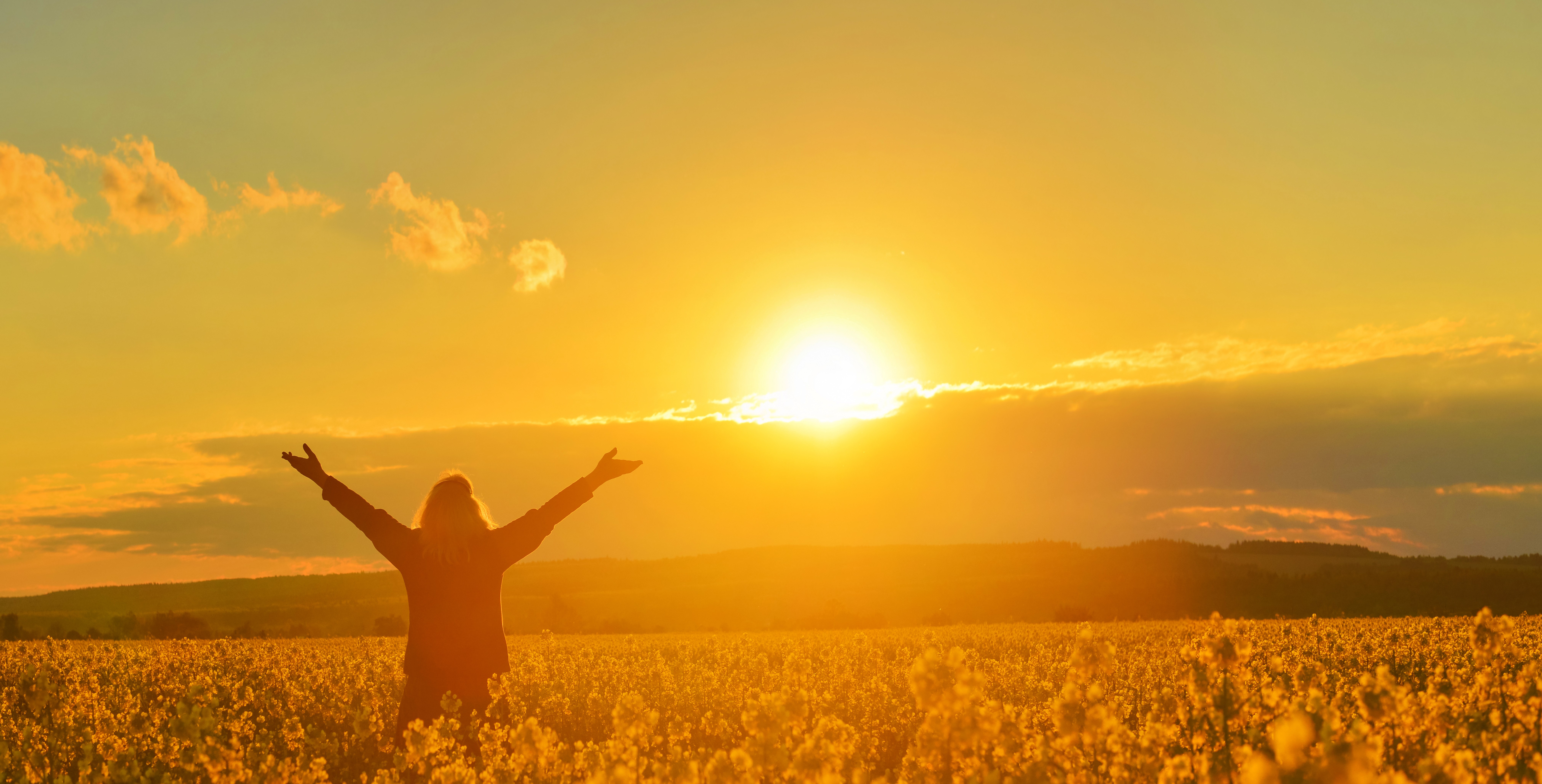 How Manual Osteopathy Can Help Patients With Physical Symptoms of Post-Traumatic Stress Disorder, Stress, Depression and Anxiety